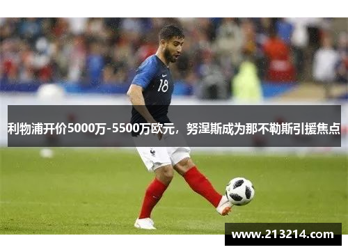 利物浦开价5000万-5500万欧元，努涅斯成为那不勒斯引援焦点